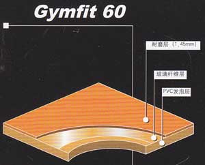 嘉寶Gymfit 60