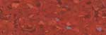 078 NCS 3060-Y80R