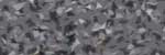 CA31017