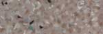 CA31025